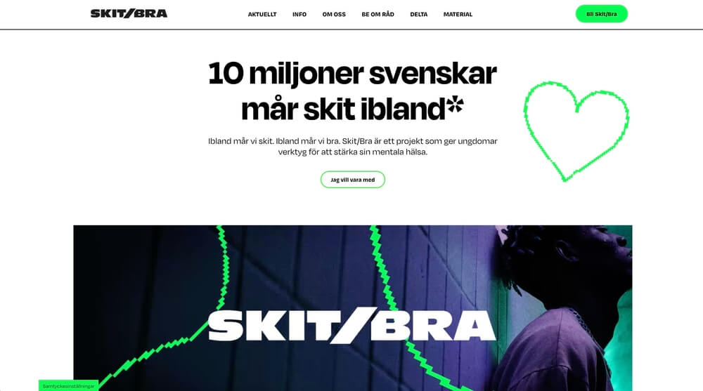 Skit/Bra cover